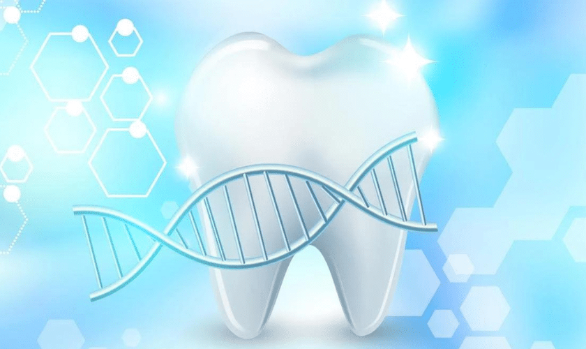 Genetics in Dental Health