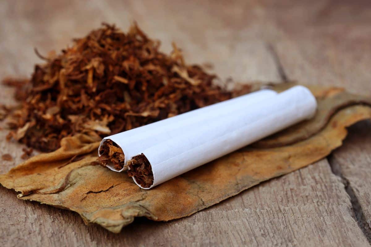 Dangers of Using Tobacco Products